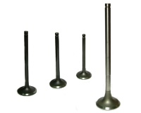 Engine valve